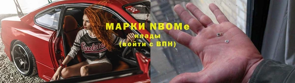 дурь Осташков