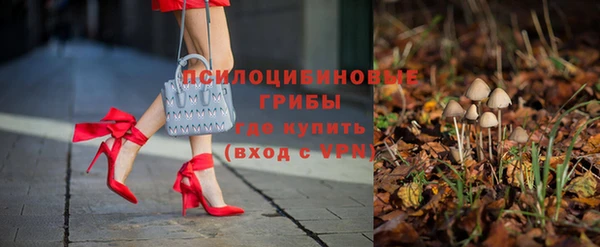прущая мука Бородино